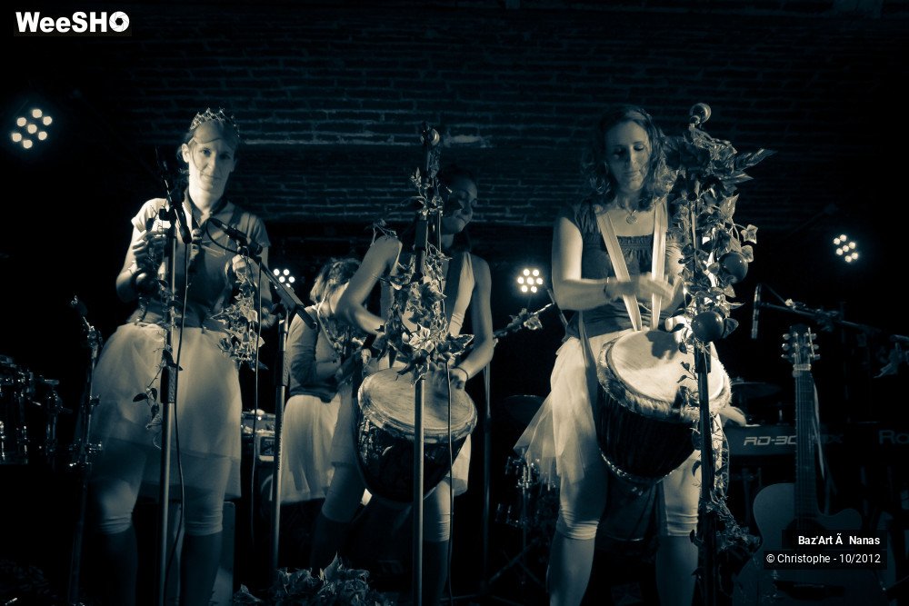 2/50 photos du spectacle Baz´art à Nanas